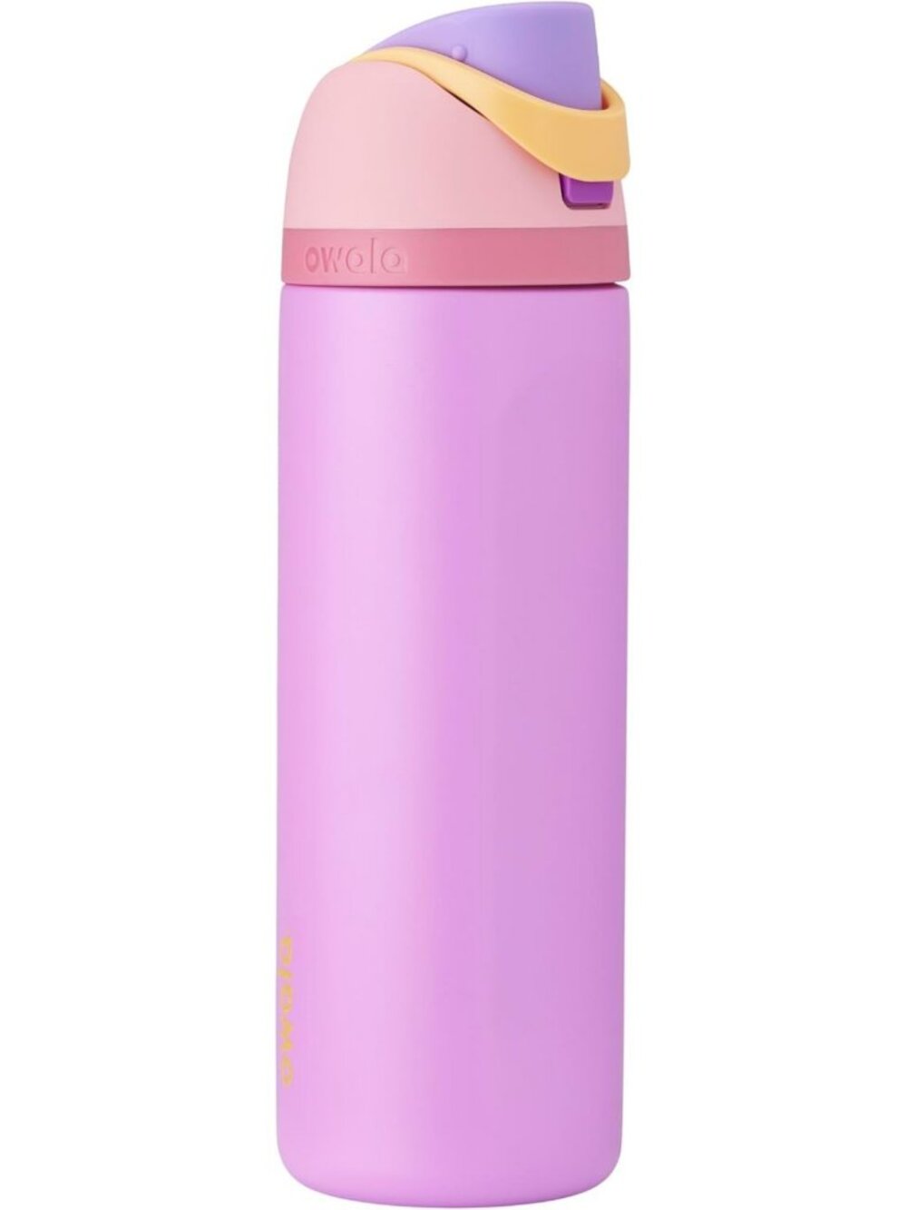 24 oz Stainless Steel Water Bottle with FreeSip - Princess Design, BPA-Free